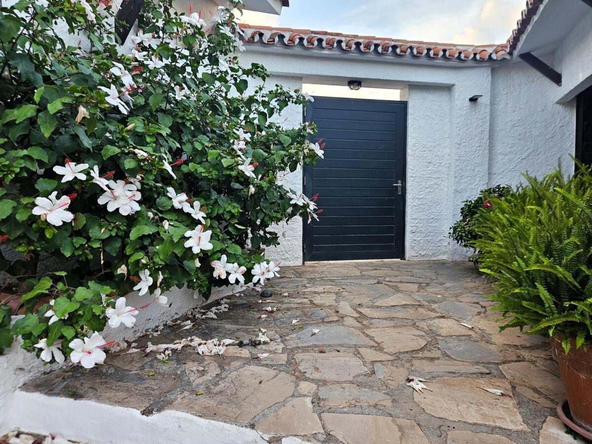 Golondrinas By Sol Maestranza * Marbella